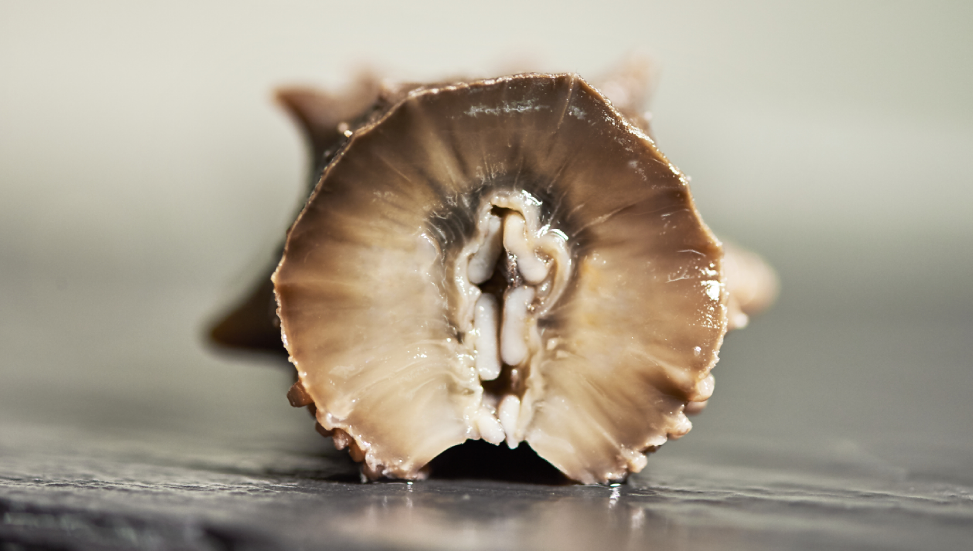 202108201333300719.png 202108201333300719.png